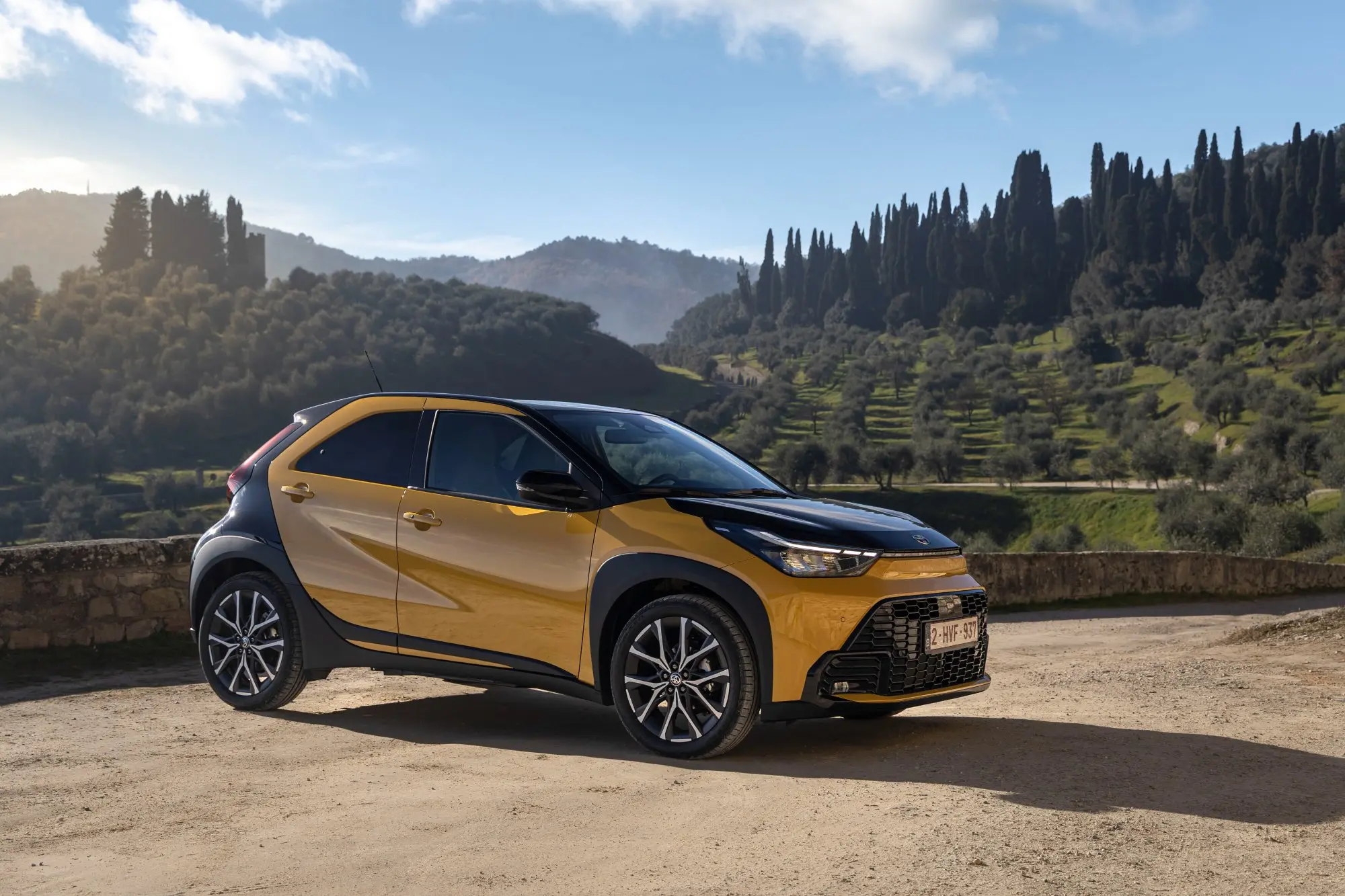 Los coches con etiqueta 'ECO' no podrán optar al Plan Auto+